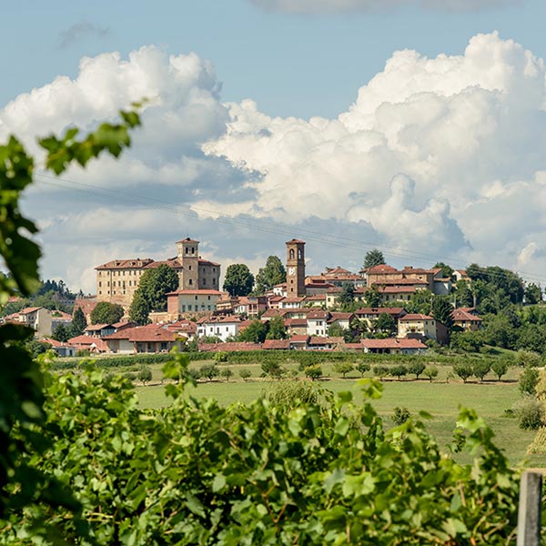 Foto con drone dei campi di vinga Mosso Mario