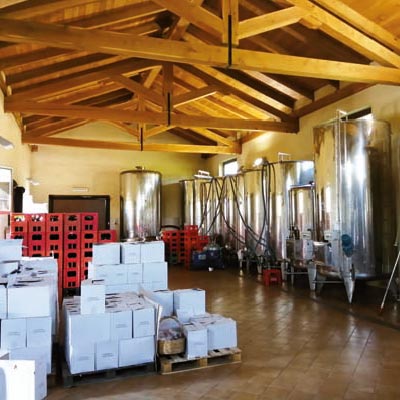 Foto della cantina, cantina Mosso