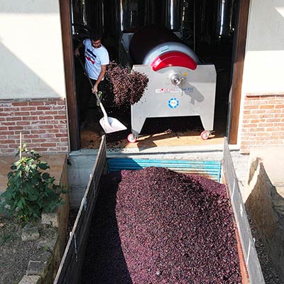 Foto della lavorazione del vino, cantina Mosso