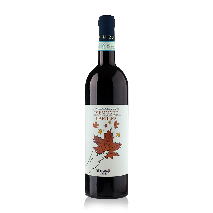 Vino Piemonte Barbera DOC